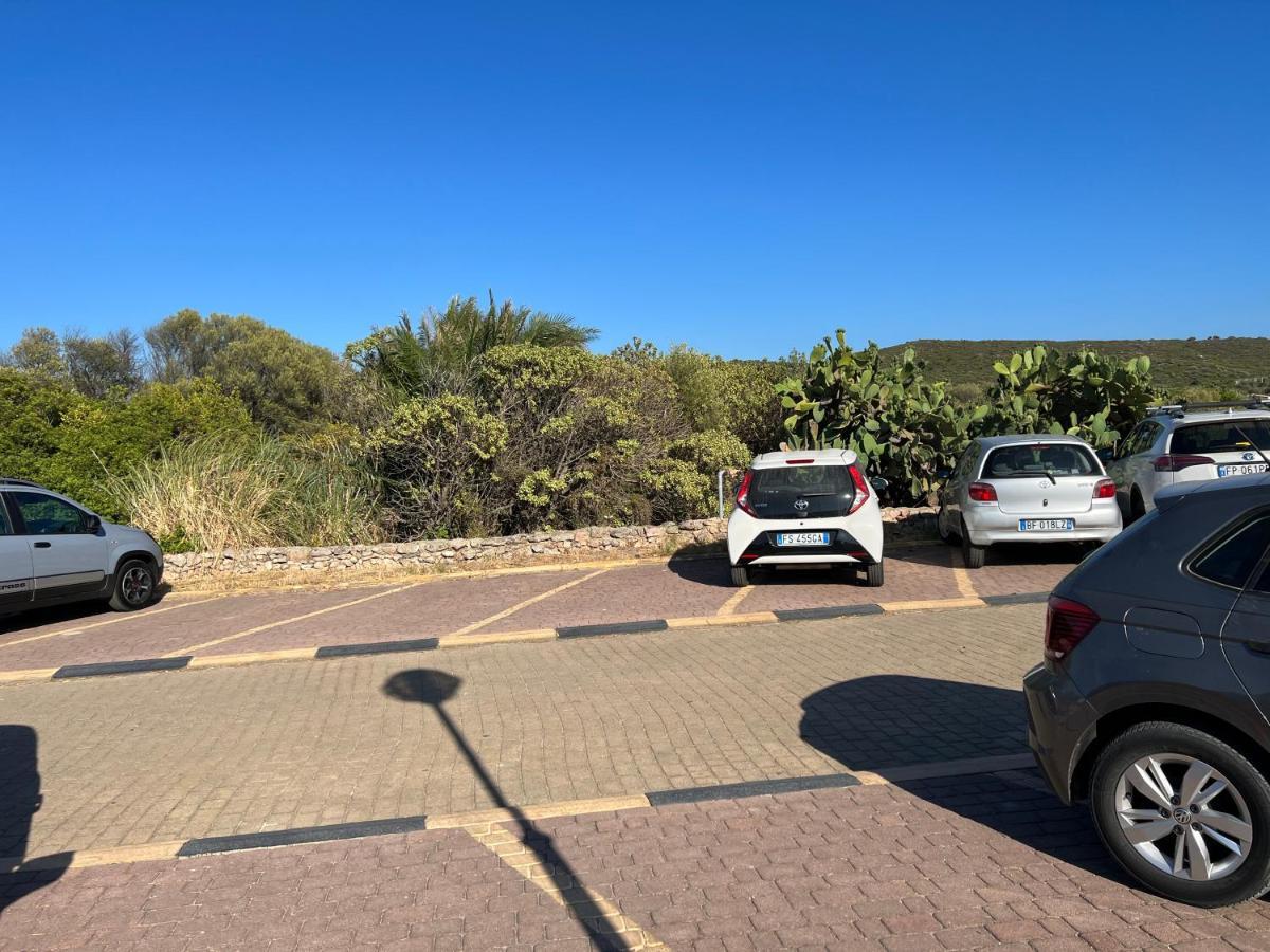 Apartament Casa Sibilla Bi-Locale Con Terrazza A 60 Metri Dal Mare Marinella  Zewnętrze zdjęcie